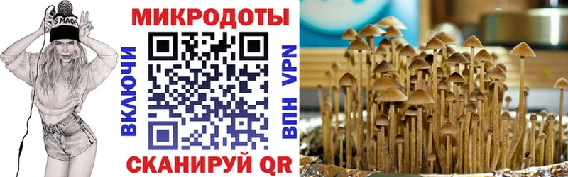 купить наркоту  Яблоновский  Галлюциногенные грибы Cubensis 
